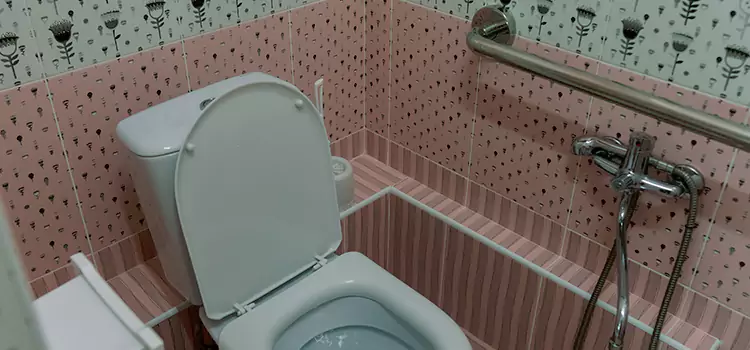 Meeting Diverse Needs With Accessible Restroom Solutions in Cloverleaf, TX